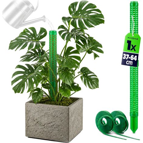 Soporte para plantas trepadoras, diseño duradero, capacidad de expansión modular, color verde claro. (1/5)