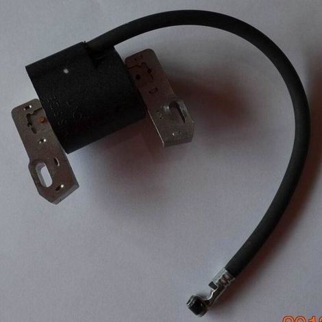Allumage Briggs & Stratton 691060 799651 843931 844548 845606, allumeurs, compatibles avec les moteurs Briggs & Stratton, allumage fiable. (1/4)