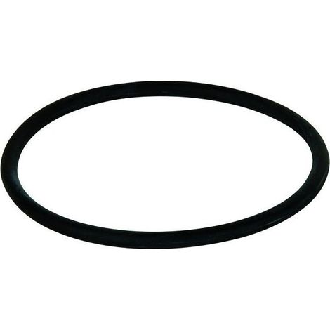 O-RING DI TENUTA PER FILTRI SENIOR/JUNIOR   ATLAS FILTRI ITALIA SRL