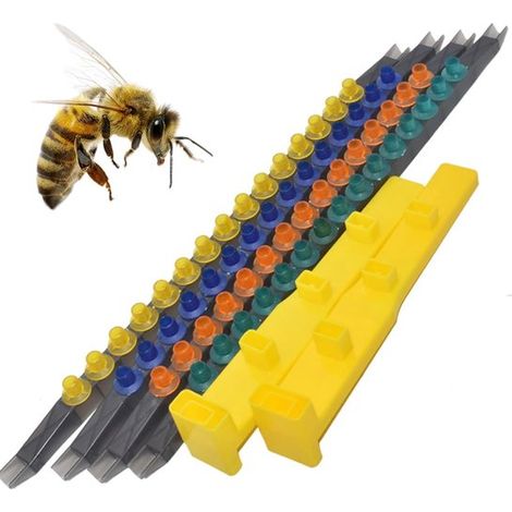 Insektenhotel-Bausatz – Ein Muss für Ihren Garten – Bienen-Starterset, multifunktionales, faltbares Imkerbecher-Set (1/5)