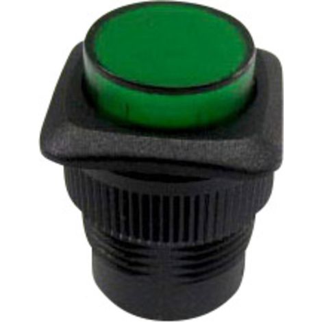 TRU COMPONENTS 1587740 TC-R13-508AL-05GN Drucktaster 250 V/AC 1.5 A 1 x Aus/(Ein) tastend Grün   1 S