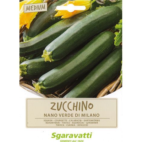 SEMI PER ORTAGGI E VEGETALI zucchino nano verde di milano Q.TA 10 zucchino nano verde di milano