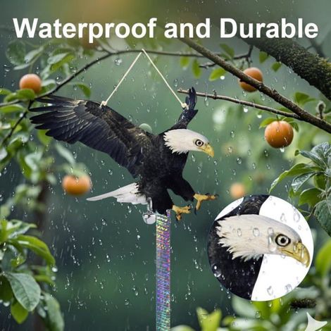 Répulsif Oiseau Plat Aigle Lot de 4 PP Réflecteur Lumineux Dissuasif Visuel Protection Balcon Jardin BLU-RAY INTERACTIF - BLU-RAY E (1/5)