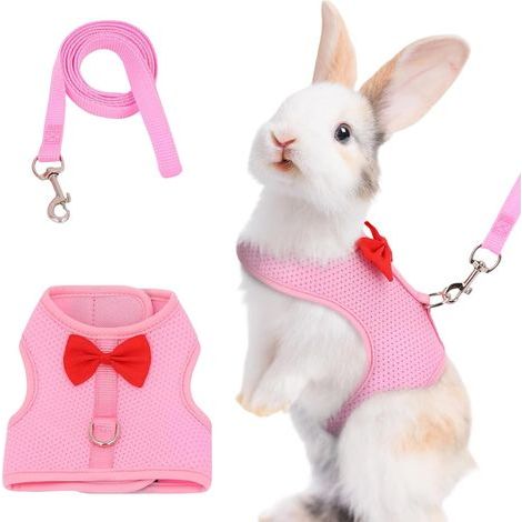 Rabbit Harness, Adjustable, Breathable Mesh, Escape-Proof, for Playpen and Home (1/5)