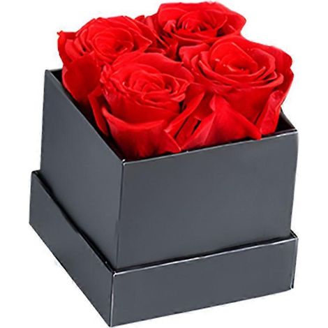 Rose éternelle préservée rose immortelle colorée à faire soi-même cadeau d'anniversaire de mariage ou de Thanksgiving - 4 têtes - Noir et rouge (1/5)