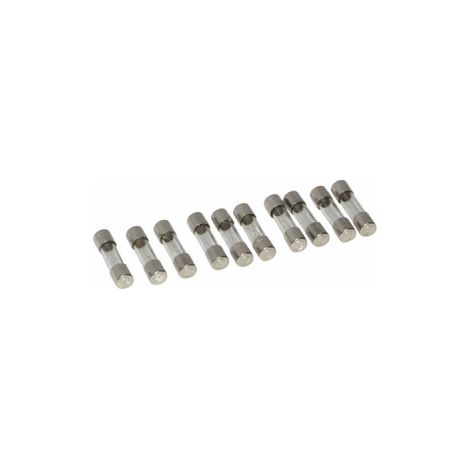 Lot fusible 2 AT (X 10) - DE DIETRICH : S43561 (1/3)