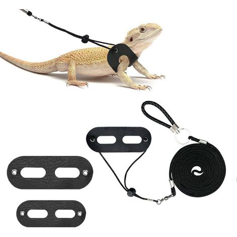 Sangles de transport longues - ensemble harnais - corde pour lézards - sangles de transport spéciales - sacs de transport longs - ensemble de 3 tailles avec sangles réglables pour petits animaux (1/5)