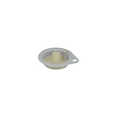 Membrana (e) (oval)