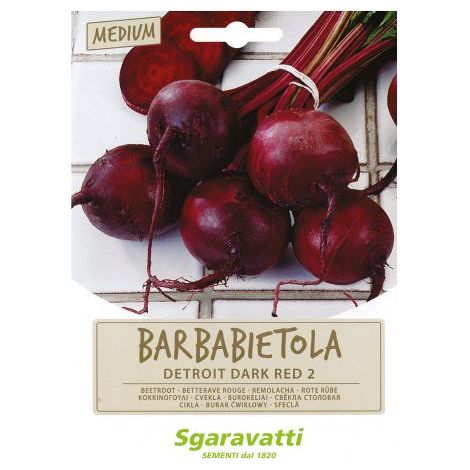 SEMI PER ORTAGGI E VEGETALI barbabietola detroit 10 PZ