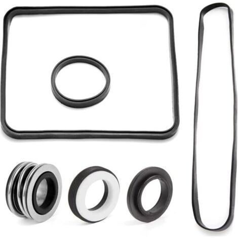Kit de joints spécifique pour pompes de piscine Hayward, compatible avec les modèles SP2600 et SP1600 (B)