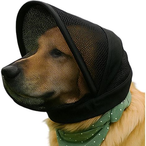 Schützende Kauhülle für Hunde, ideal zum Wandern, Campen, Klettern, Picknicken, für Gärten und Rasenflächen, geeignet für Tierhalter und Trainer (1/5)