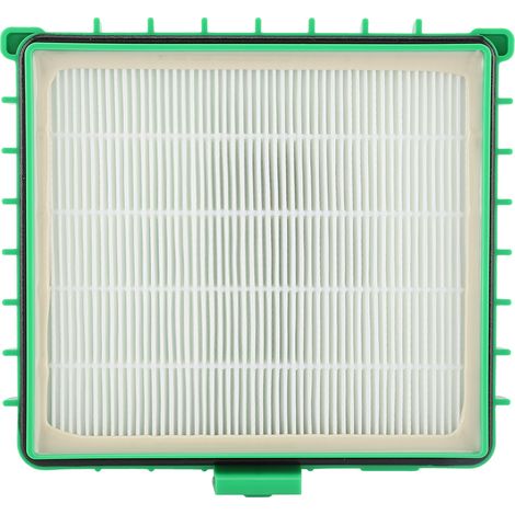 Filtre HEPA pour aspirateur Rowenta Silence Force ZR002901 RO4421 RO4427 (1 pièce) (1/5)