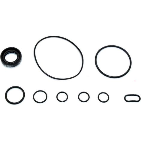 Kit de reparación de bomba de dirección asistida con junta tórica para HONDA CIVIC FA1 1.8L 2006 - 2011 (volante a la izquierda) (1/5)