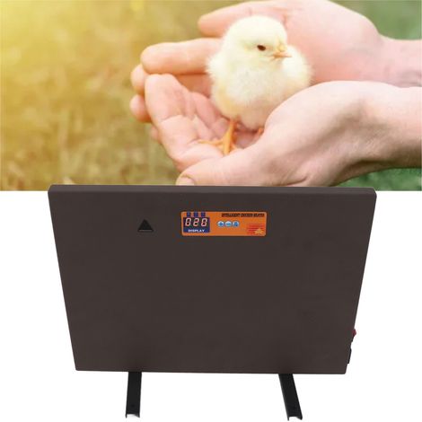 Chauffage pour volailles 150 W à réglage manuel, chauffage anti-basculement intelligent pour poussins, petit pavillon d'élevage et de couvage, plaque chauffante pour la maison et les animaux de compag (1/5)