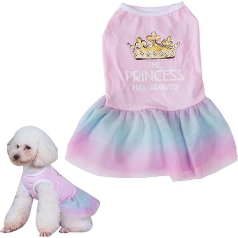 1 jupe pour chien, tissu doux et respirant, ceinture élastique, lavable à la main ou en machine, usage quotidien (1/5)