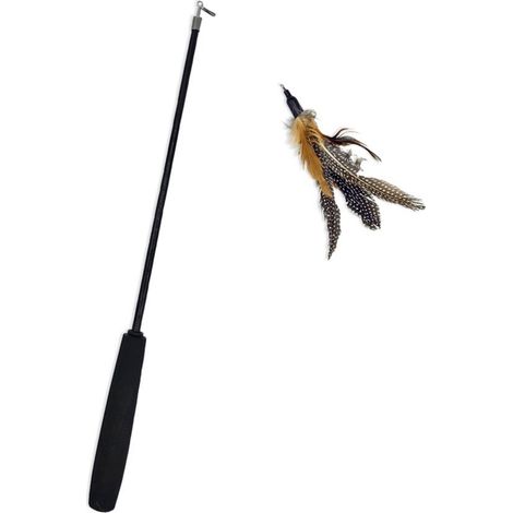 Jouets pour chat - Baguette à ressorts naturelles - Set de 2 - Jouets interchangeables - Aide à la perte de poids et au fitness - Jouets en plumes résistants - Doux et sûrs - Activité en intérieur (1/5)