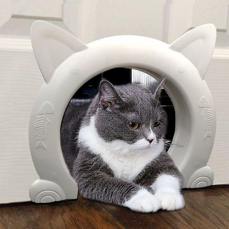 porte De Chat Porte De Chat Dimensions Du Cadre : Hauteur 27cm Largeur 31cm Paisseur 5,5cm Intrieure Porte De Chat Pour Porte Intrieure, Portes Po (1/5)