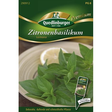 Quedlinburger Saatgut – Basilic citron « Lemona » – Graines d'herbes aromatiques, fleurs blanches, hauteur env. 50 cm (1/2)