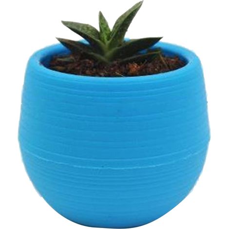 Petit pot en plastique pour plantes grasses, idéal pour faire pousser des semis dans le jardin, sur la terrasse ou le balcon, de couleur bleue. (1/5)