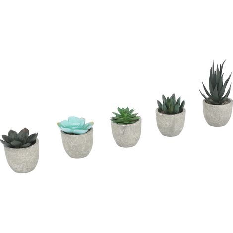 Lot de 5 plantes succulentes artificielles en pot, assortiment de mini-plantes décoratives en pâte à papier. (1/5)