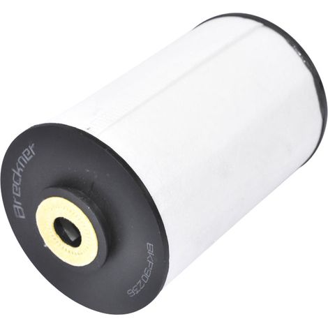 Filtro carburante Deutz, Case, Claas, P550349, XN1020, PF950, BFU900X, FF5054, 1336020 Breckner Germany (1/3)