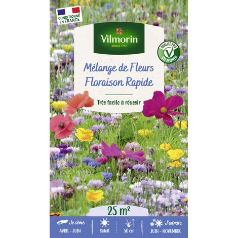 Floraison Rapide - 25 m² - Mélange de fleurs Vilmorin (1/3)