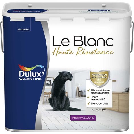 Peinture Blanche Haute Resistance Dulux Valentine Velours Blanc 5 L