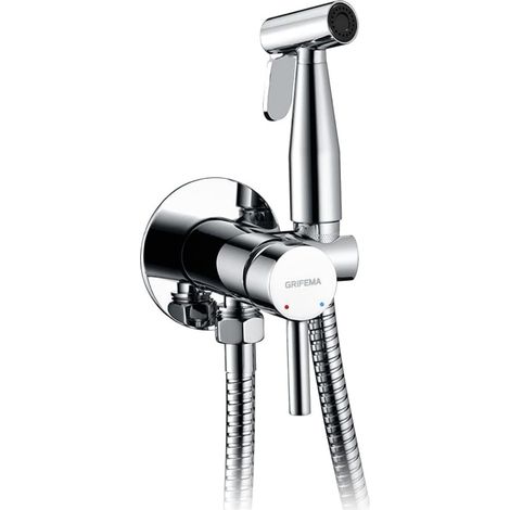 kit robinet bidet argent avec douchette WC (1/5)