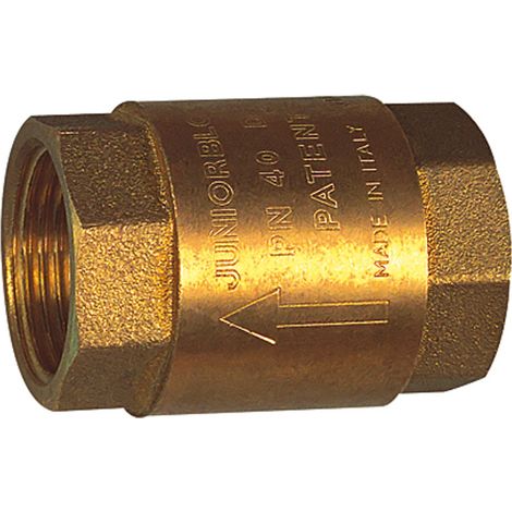 Riegler Rückschlagventil, reduzierter Durchgang, G 1 1/4, 20 mbar (1/2)