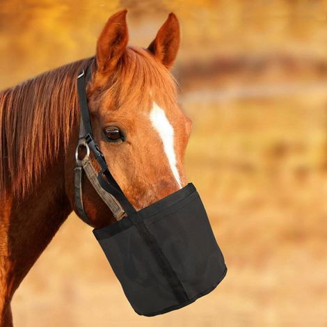 Bolsas de lona resistentes y duraderas para pienso de caballos - Negras - M (1/5)