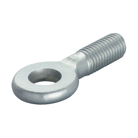 fischer Augenschraube AG 8x25 100 Stk