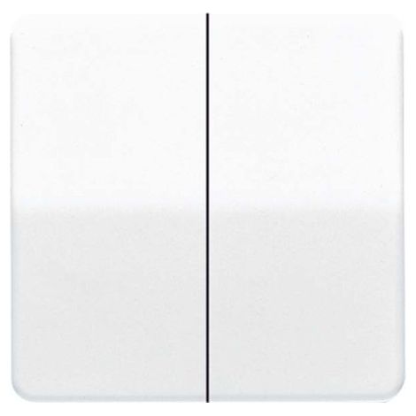 JUNG CD 595 GB (CD595GB)