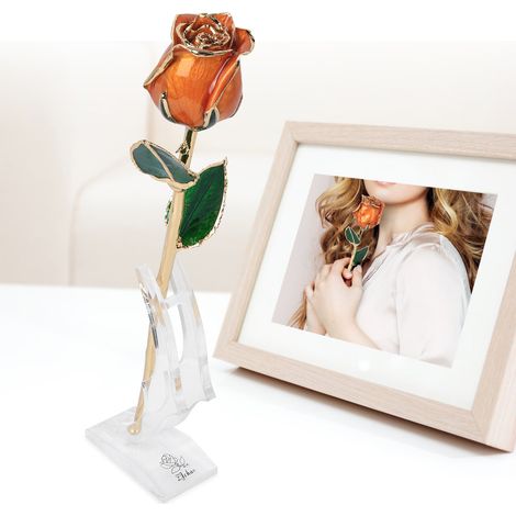 Roses fraîches neuves plaquées or 24 carats (vraies fleurs) + socle (1/4)