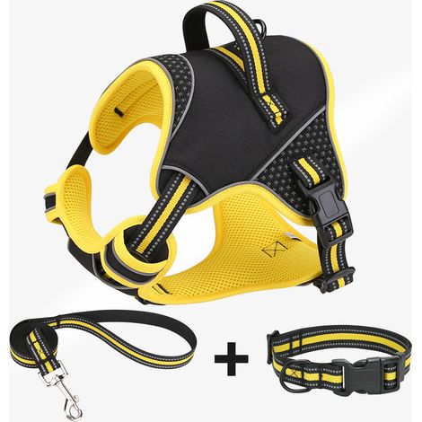 Nouveau harnais de poitrine pour chien, harnais de traction anti-fuite, accessoires d'entraînement pour animaux de compagnie en extérieur (1/4)