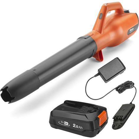 Flymo 18V EasiClear 100 Cordless Garden Leaf Blower Bosch 1 x 2.0Ah Battery (1/5)
