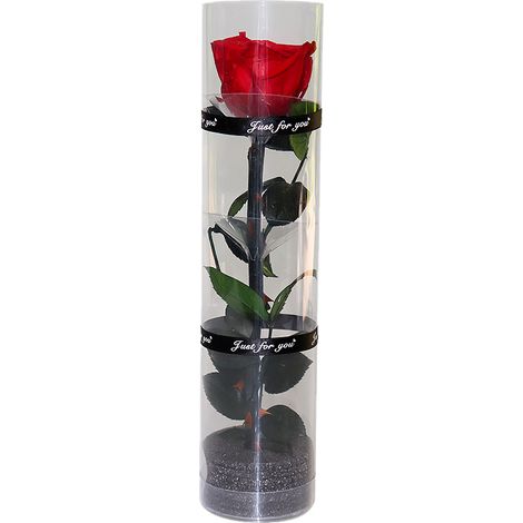 Rosa Eterna, 27 cm, tallo natural, flor preservada, regalo de decoración para el hogar (1/5)