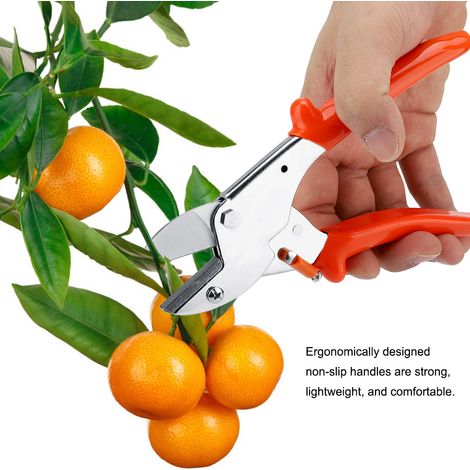 Sécateur 200 mm, sécateur à fruits, cisaille de jardinage, outils d'aménagement paysager (1/5)