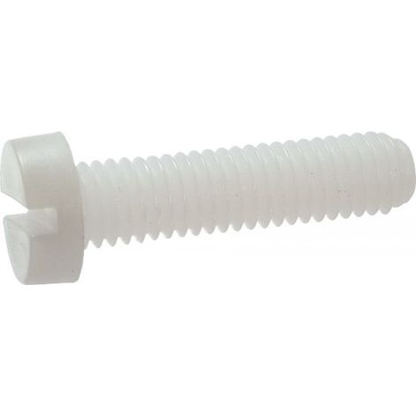 Vis tête cylindrique fendue ACTON 82500 Nylon 6.6 5x30 Blanc (1/2)