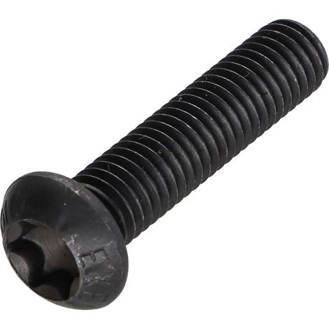 Vis métaux Tête bombée TORX T40 M8X35 Classe 10.9 Acier - 10 pièces (1/5)