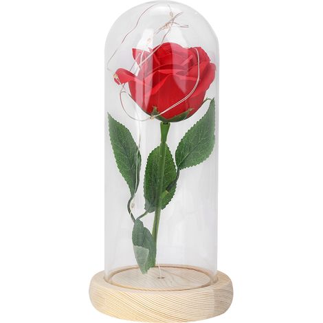 Lampe De Bureau Rose Avec Guirlande Lumineuse Et Dôme En Verre Pour Décoration Intérieure Cadeau Romantique - Rouge - 1 Pièce (1/5)