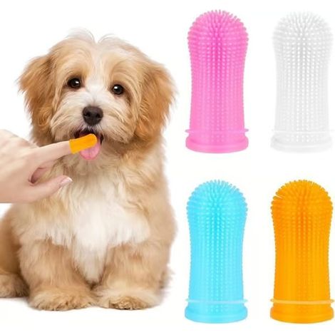 Brosse à dents - Non spécifiée - 4 parties - Silicone de qualité alimentaire - Soins dentaires - Petits animaux (1/4)