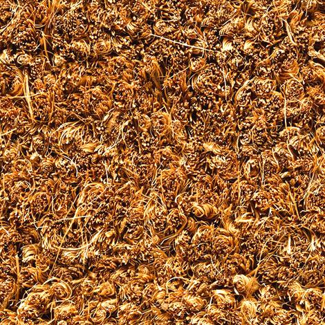 Paillasson Coco ARUBA 30 100x100cm Coloris naturel