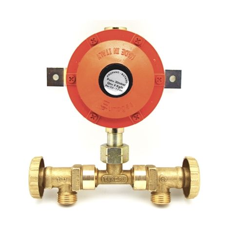 MINI-CENTRALINA CON REGOLATORE SENZA FLESSIBILI  4 KG- 4 Kg/h- senza- pezzi 1