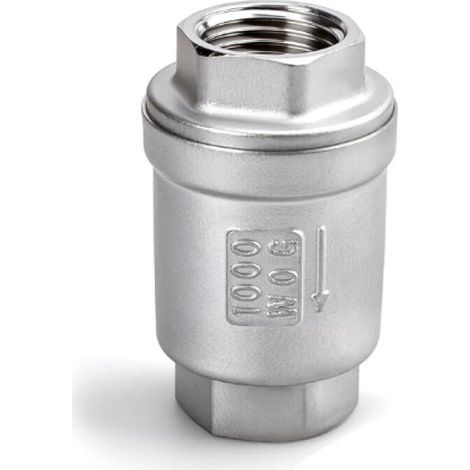 1 clapet anti retour, 1 "BSP femelle acier inoxydable 304 vertical en ligne clapet à ressort, anti retour (1/5)
