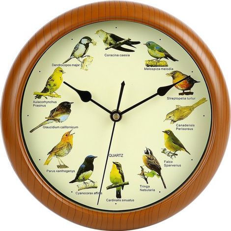 Horloge murale à chants d'oiseaux, sons d'oiseaux indigènes, silence automatique la nuit, horloge décorative, dimensions 26×26 cm (1/4)