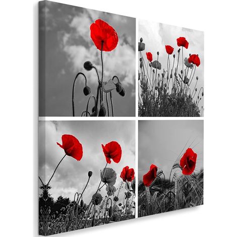 Tableau sur toile Set Coquelicots rouges champ 40x40 (1/5)