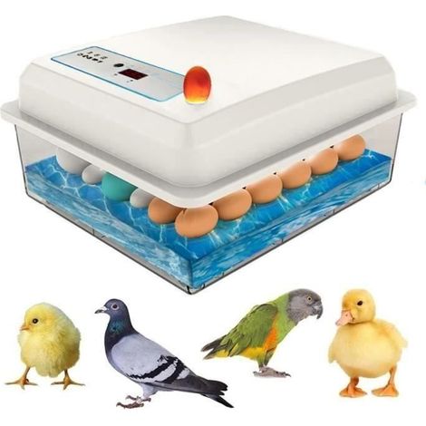 Couveuse oeuf automatique pour ufs d'oiseaux reproducteurs avec Automatische Contrôle de la Température, Retournement A2