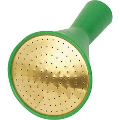 Fine as Rain Watering Can Rose - Green
