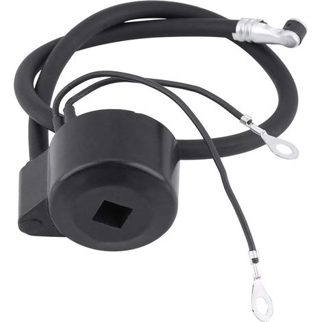 Module de bobine d'allumage de moteur pour Tecumseh 3-10 CV LAV V H HS VM Moteurs Moteurs Souffleuses à neige Déchiqueteuses Tondeuses OE: 30560A 29632 30546 610768 611038 (1/5)