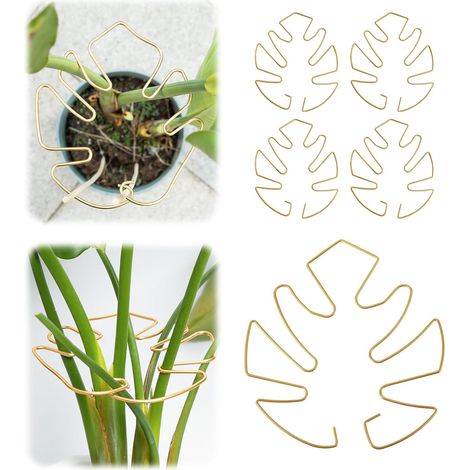 Support de tronc de plante 5 pièces – Support de pince stabilisateur Monstera durable, conception unique pour plantes grimpantes, support de plante pour la croissance de la floraison (or, 1618 cm) (1/5)